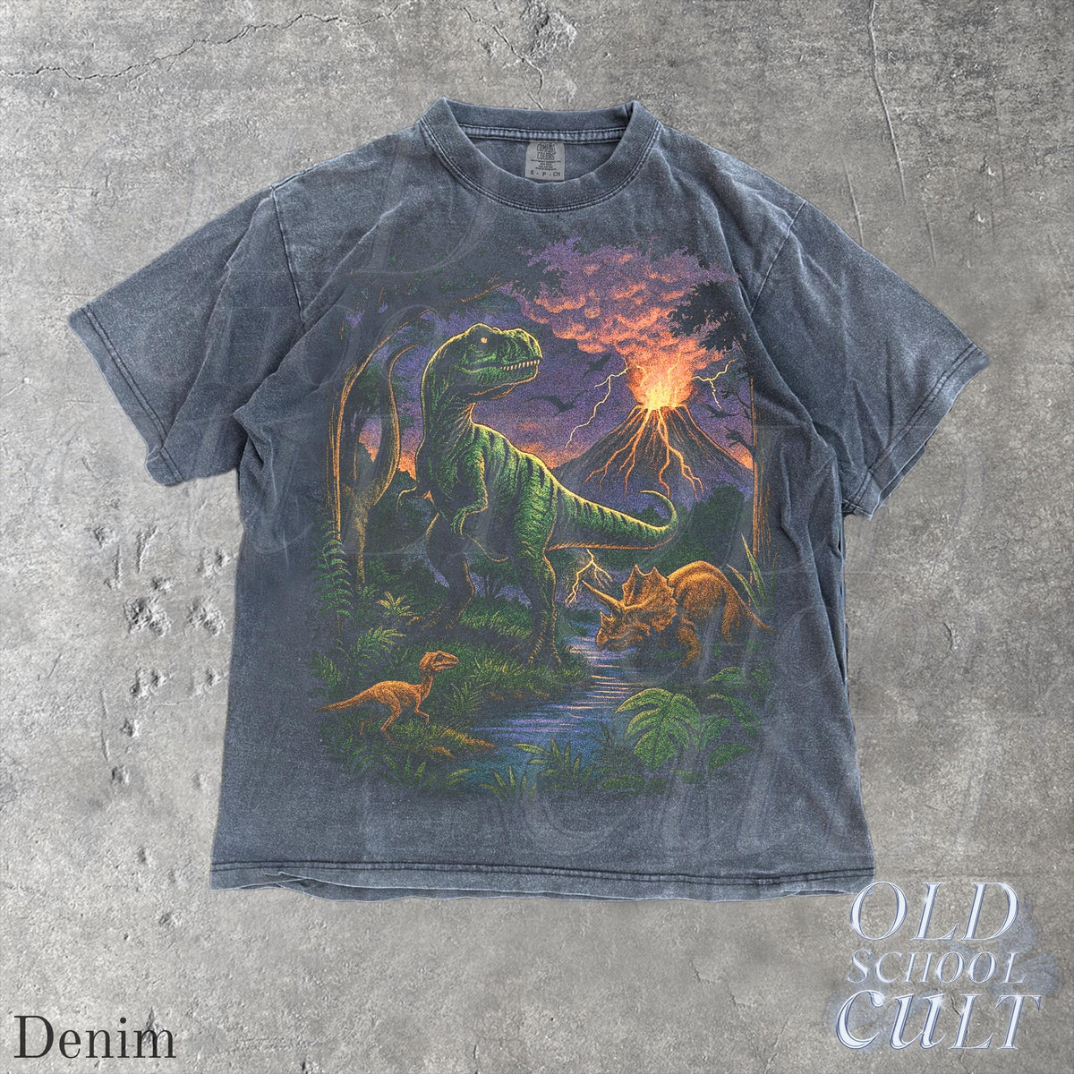 Vintage Jurassic Dinosaur 90s Retro T-Rex Triceratops 90s Prehistoric Dino Nostalgia Nature