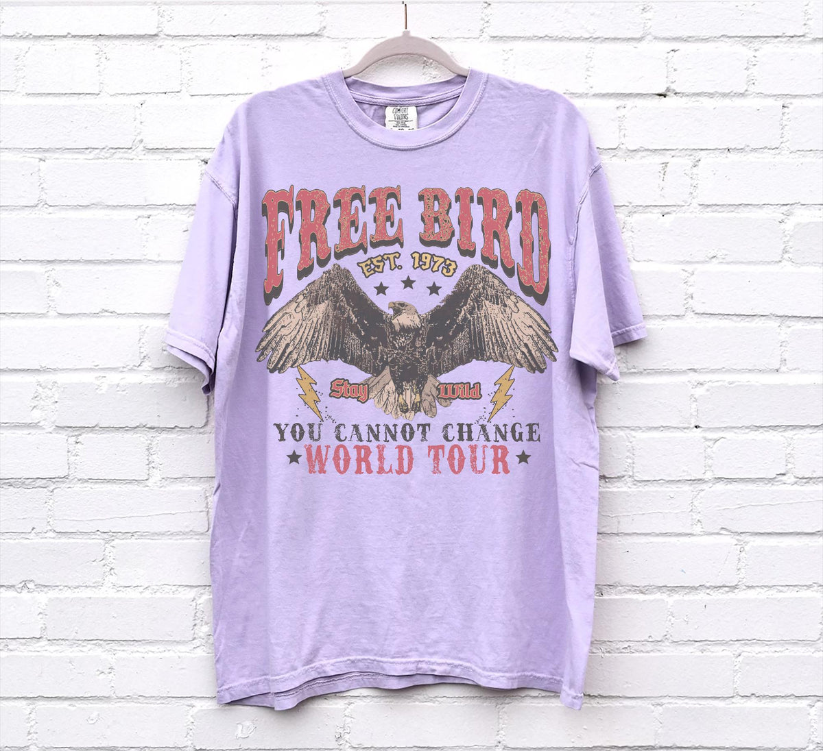 70s Rock Free Bird Comfort Colors Band Old School Band Retro Music Rock Band Tee