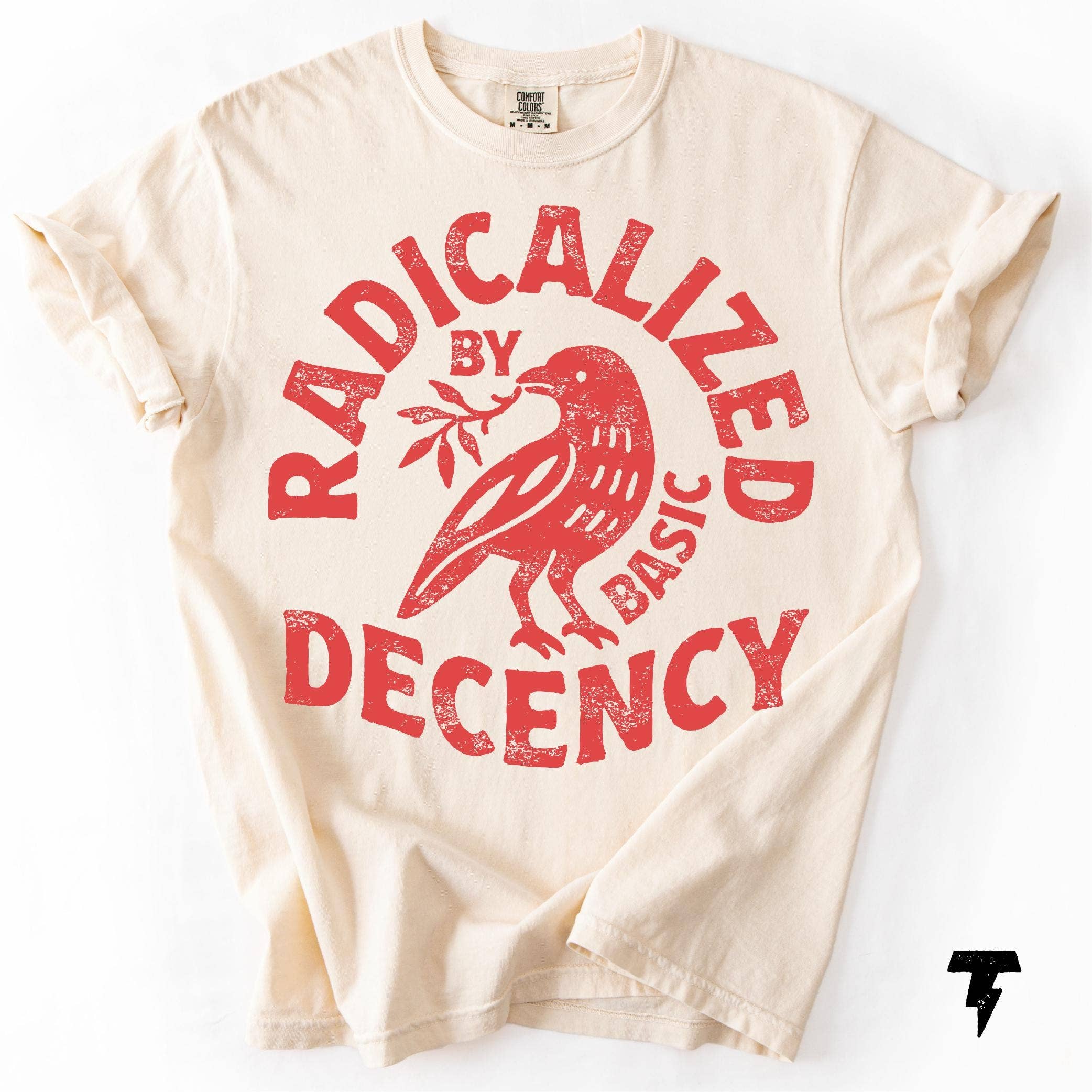 Radicalized By Basic Decency Political Protest Tee