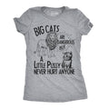 Big Cats Are Dangerous But A Little Pussy Never Hurt Anyone Women's T Shirt