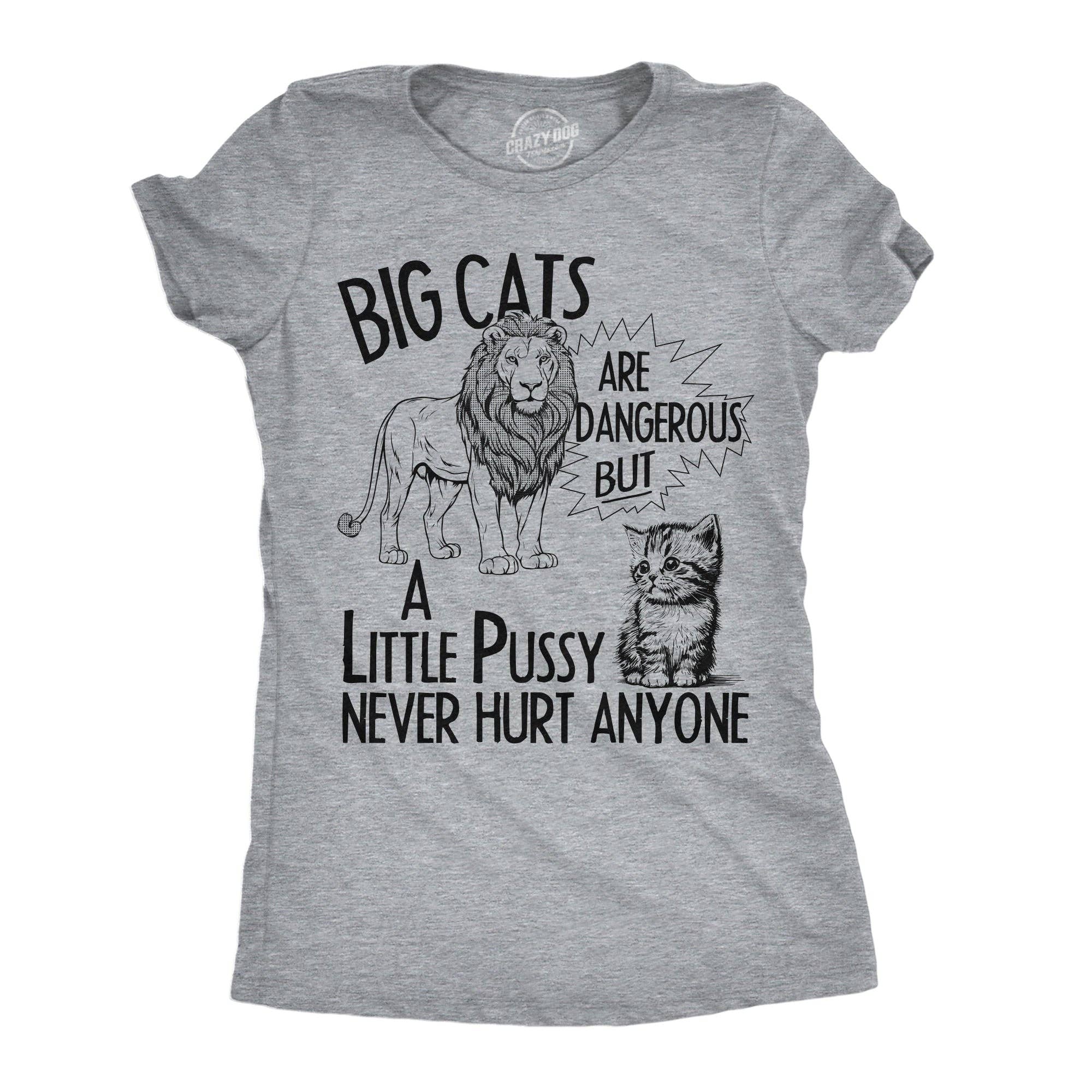 Big Cats Are Dangerous But A Little Pussy Never Hurt Anyone Women's T Shirt