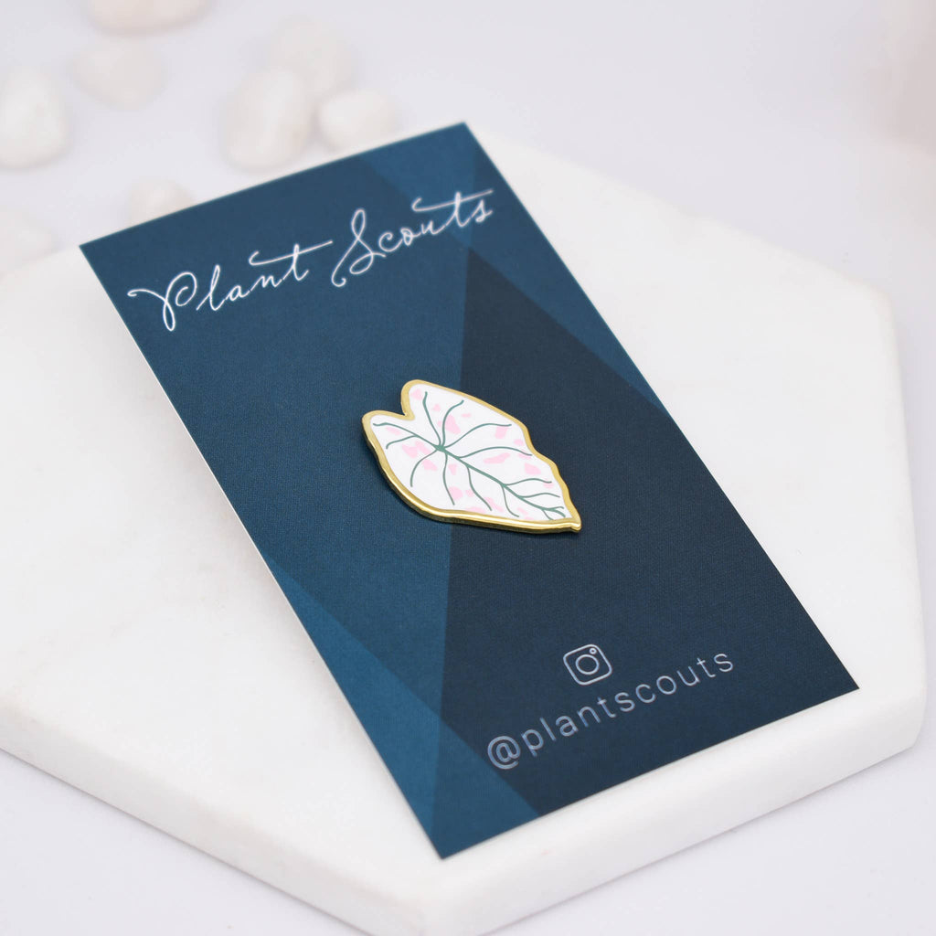 Caladium Plant Enamel Pin Unisex