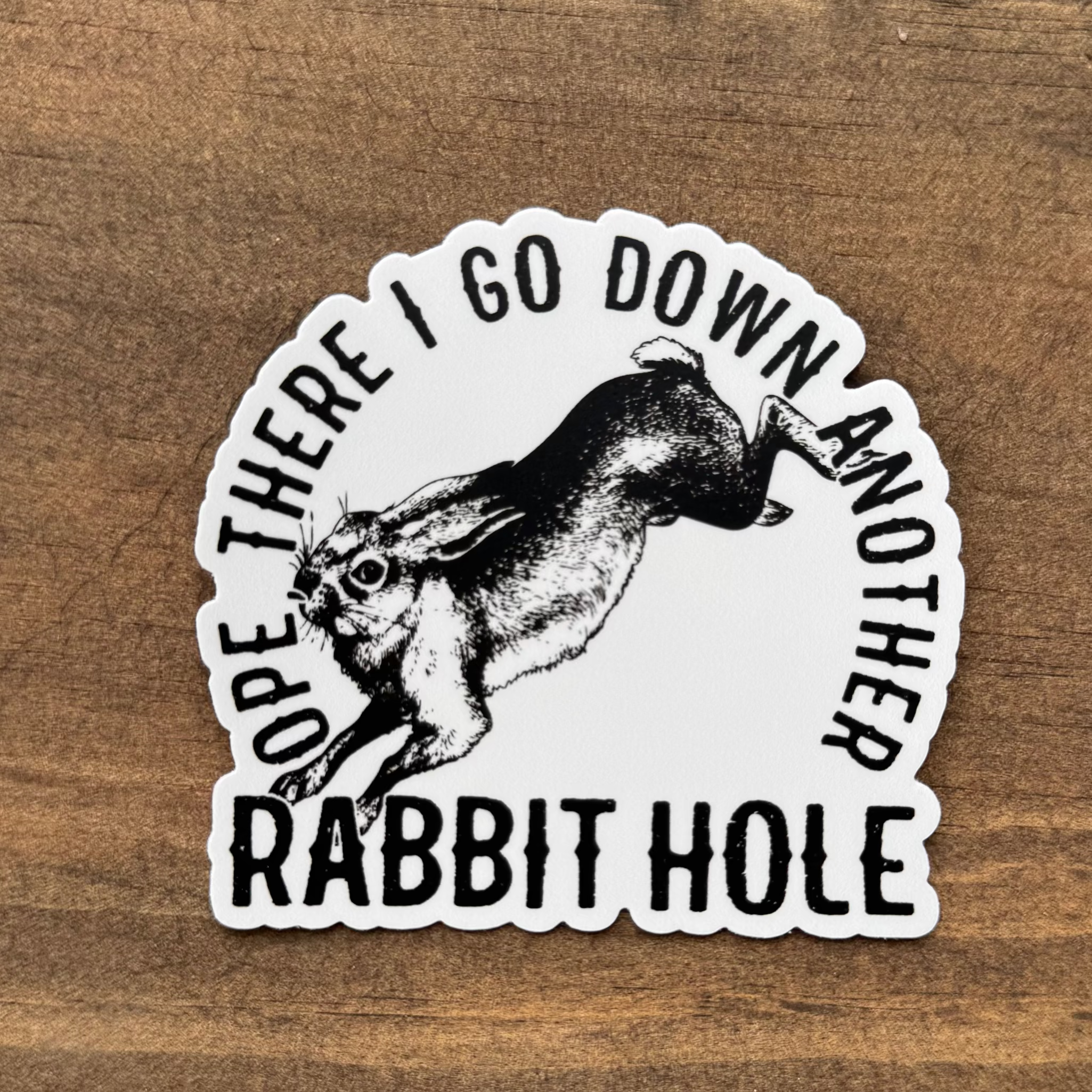Rabbit Hole Sticker | Car Decal 123