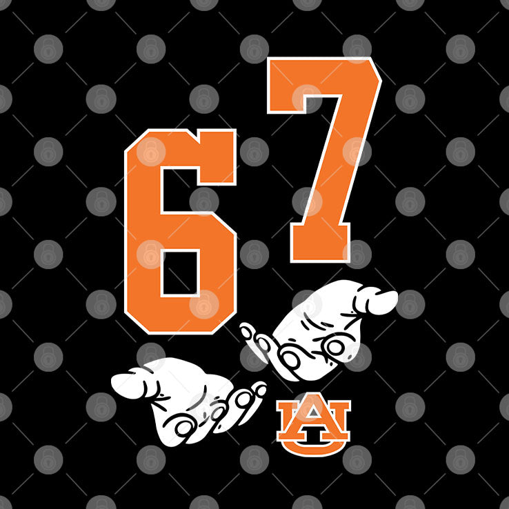 Auburn Tigers 67 T Shirt
