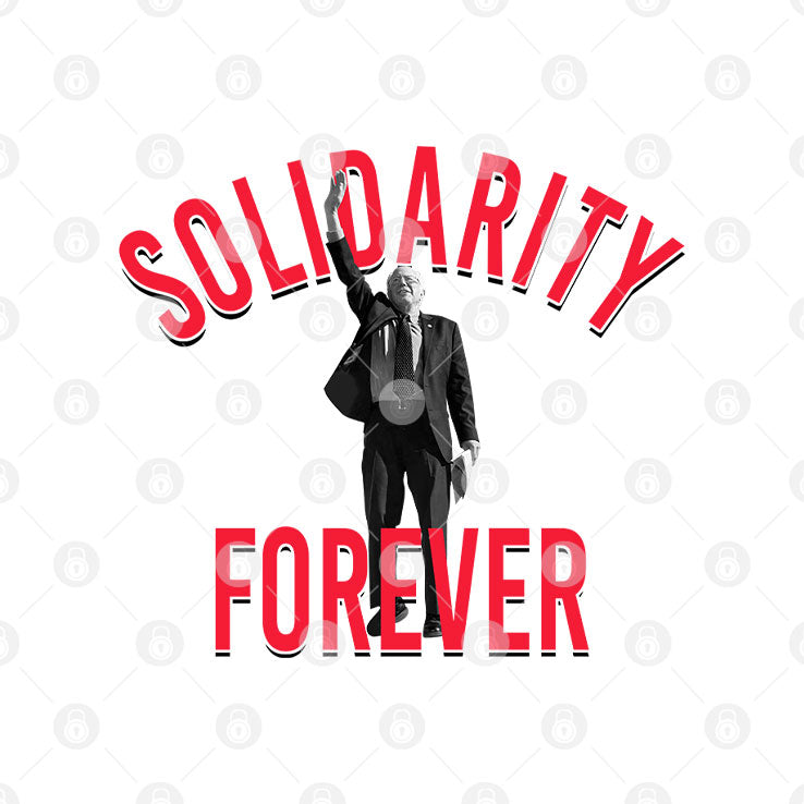 Bernie Sanders Solidarity Forever T Shirt