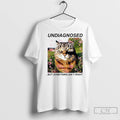 Classic Cat Undiagnosed But Something Aint Right