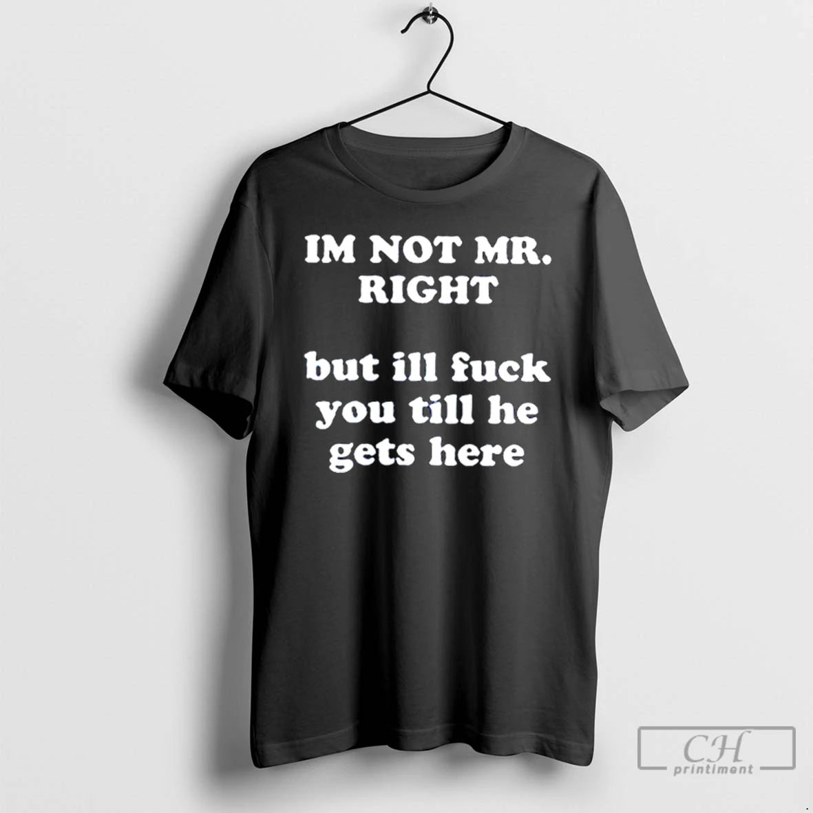 Classic Im Not Mr Right But Ill Fuck You T Shirts