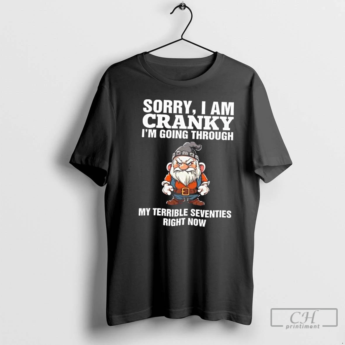 Classic Old Gnome Terrible Seventies Sorry I Am Cranky Im Going Through My Terrible Seventies