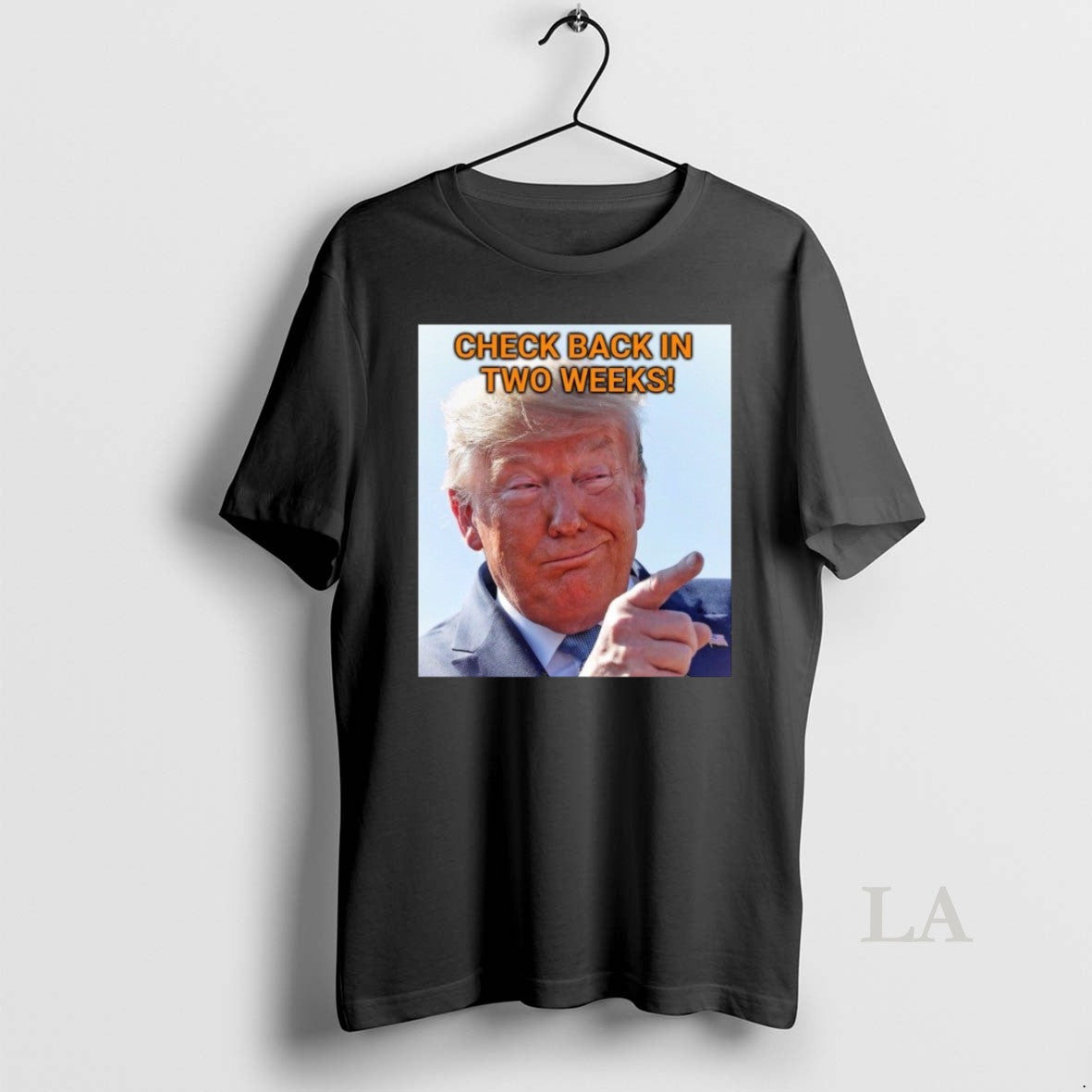 Original Check Back In Two Weeks Donald Trump