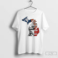Premium Detroit Sports Team Lions Tigers Pistons Red Wings T Shirts