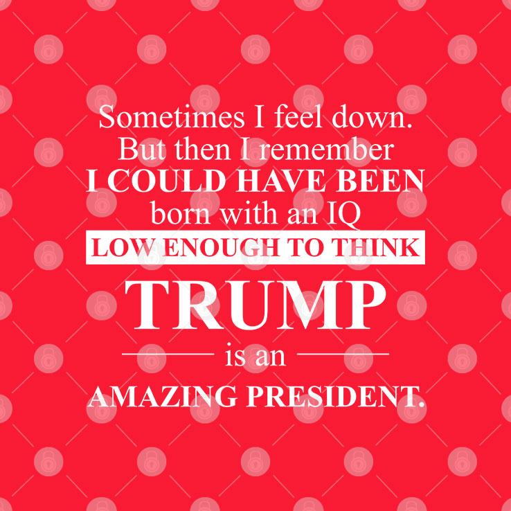 Sometimes I Feel Down But Then I Remember IQ Low Trump T Shirt
