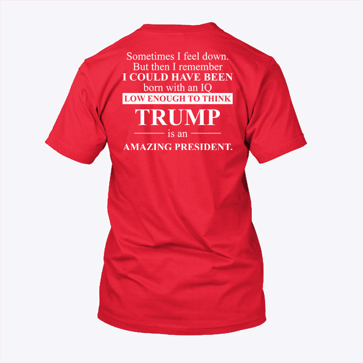 Sometimes I Feel Down But Then I Remember IQ Low Trump T Shirt