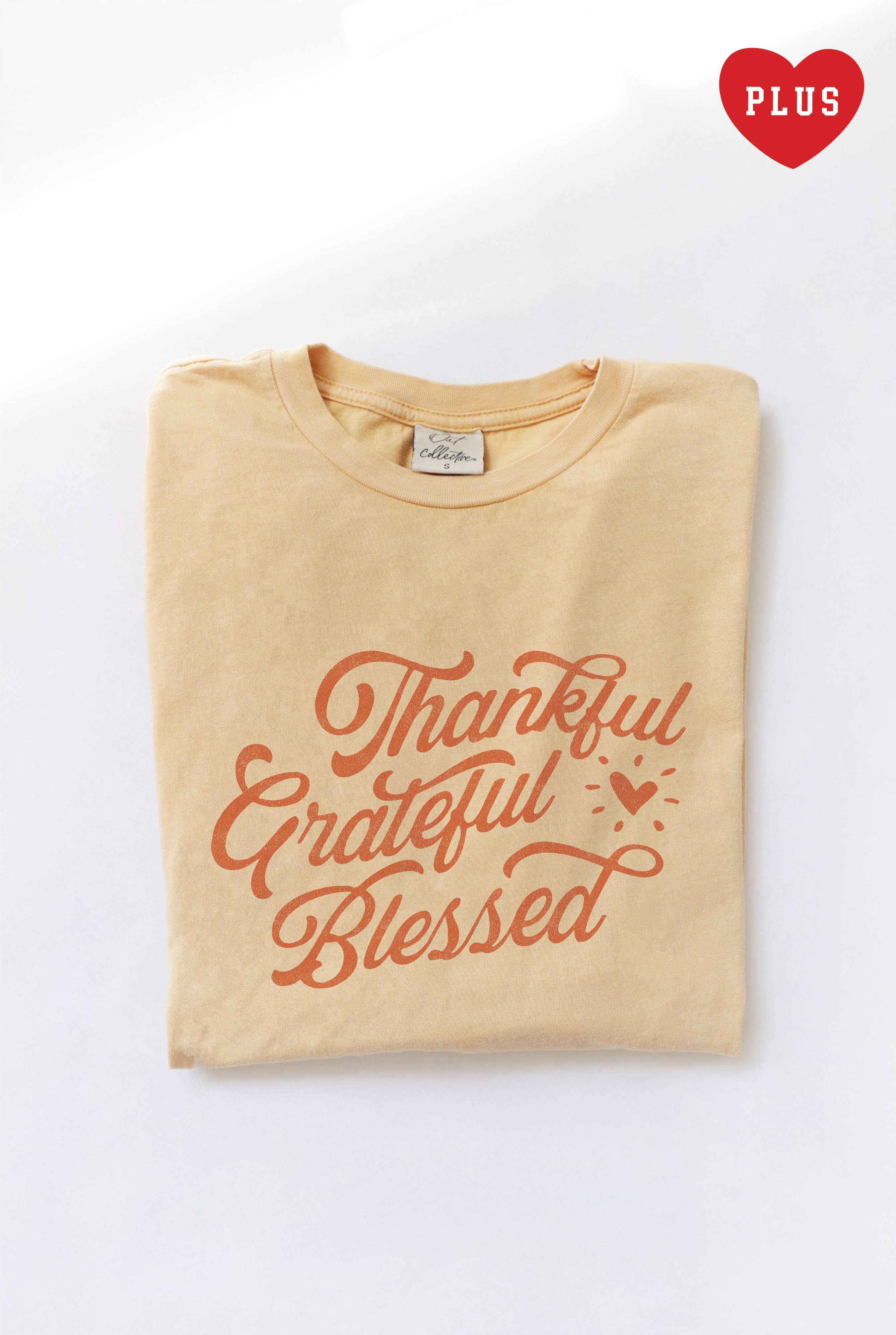 Thankful Grateful Blessed Plus Mineral Graphic Top