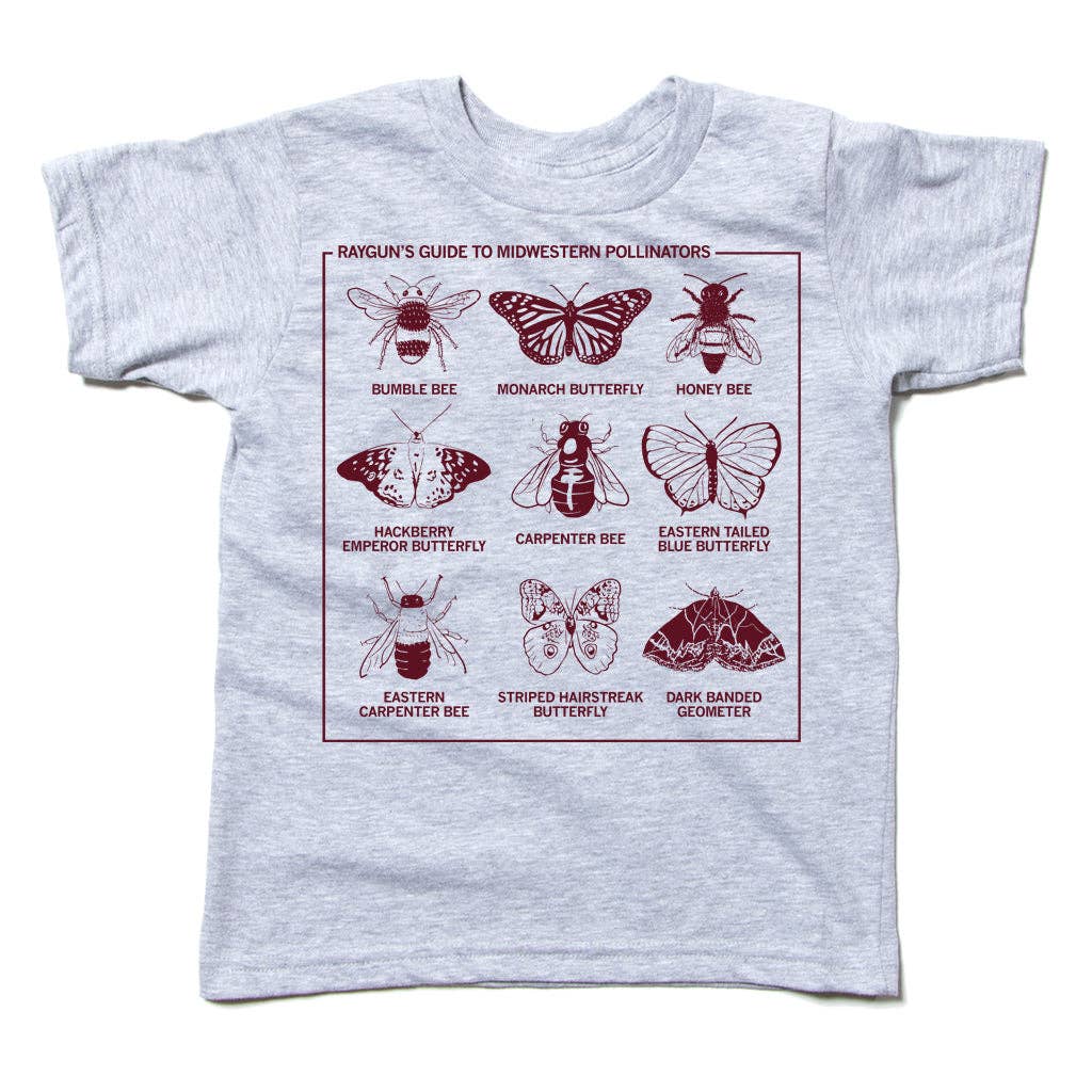 Midwestern Pollinators Kids