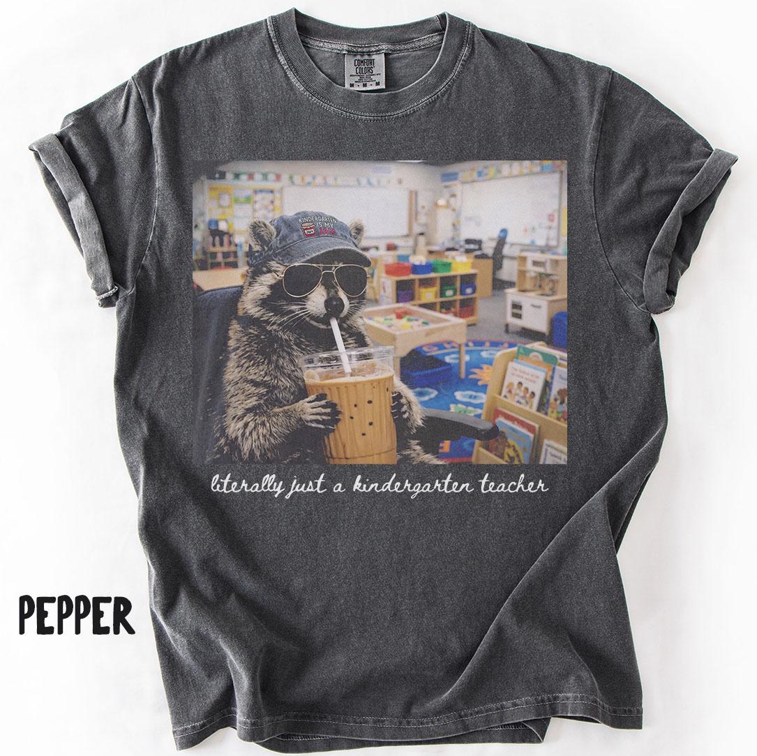 Comfort Colors Kindergarten Raccoon Teacher Tee Kindergarten Back School Kindergarten Department Crew Squad