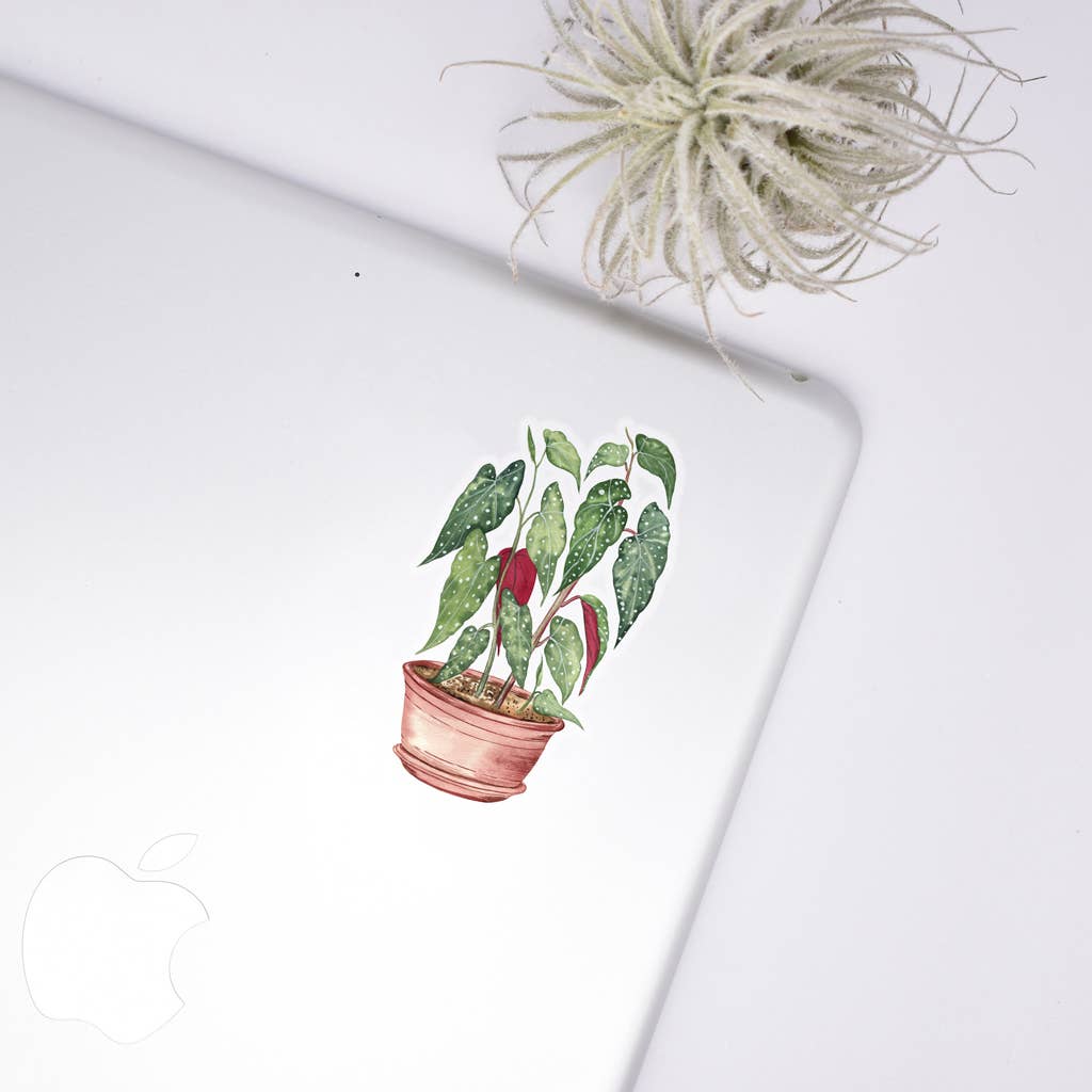 Begonia Sticker - House Plant Stickers Unisex