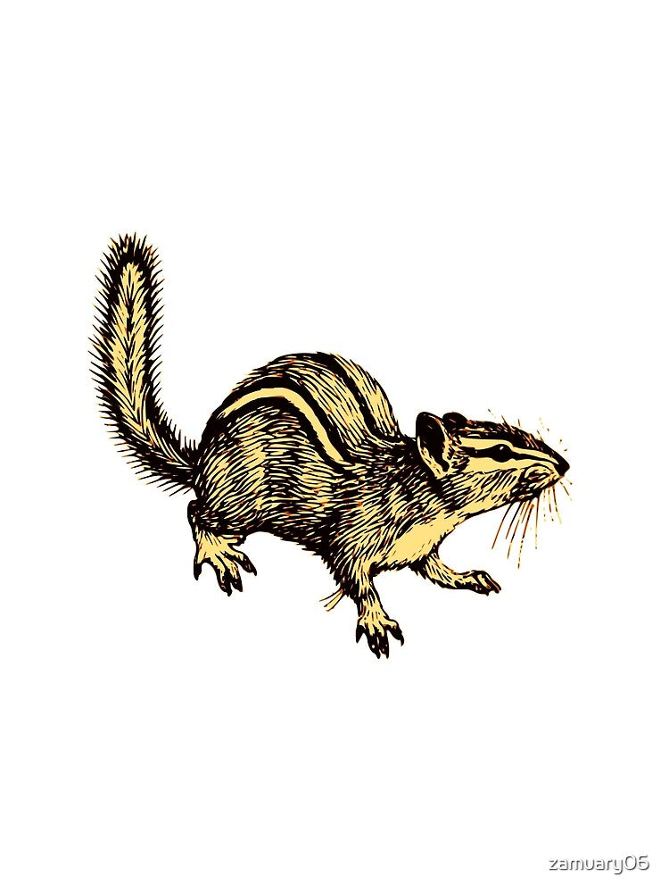 park squirrel by zamuary06