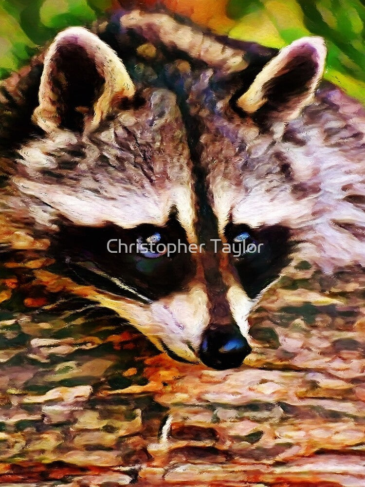 Wash Bear | Raccoon - Painting by Christopher Taylor