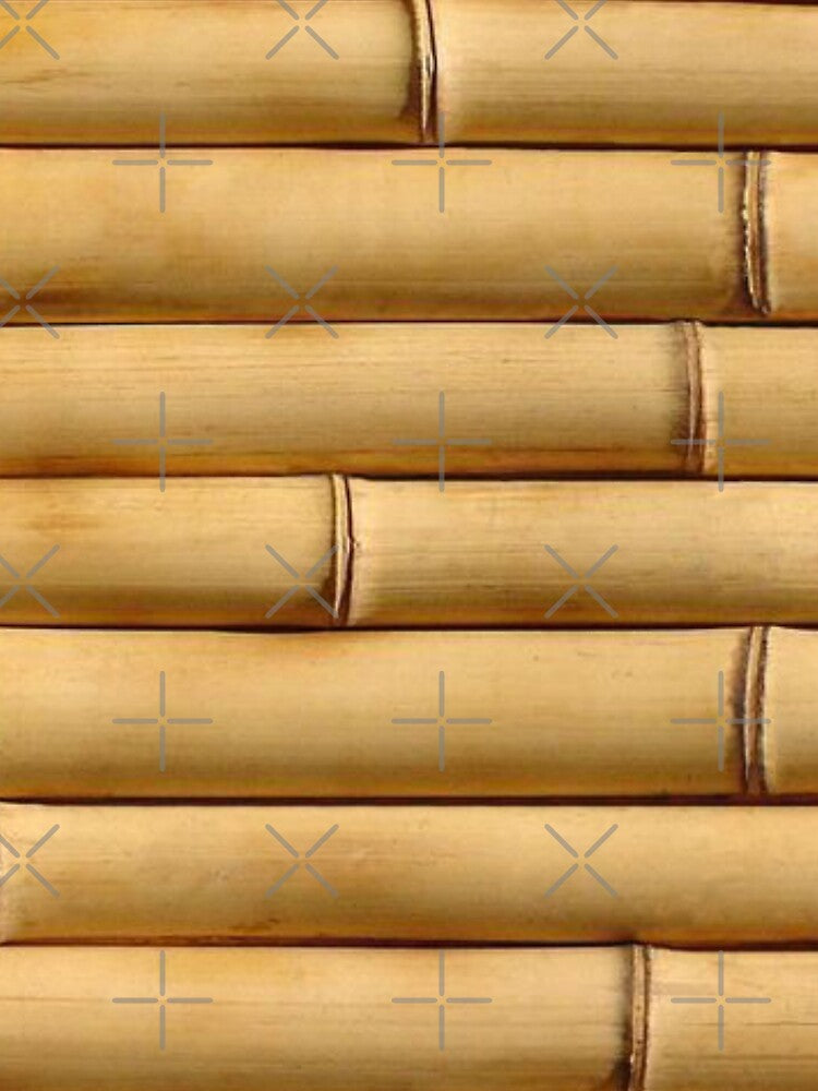 Bamboo Graphics by Nahas2020