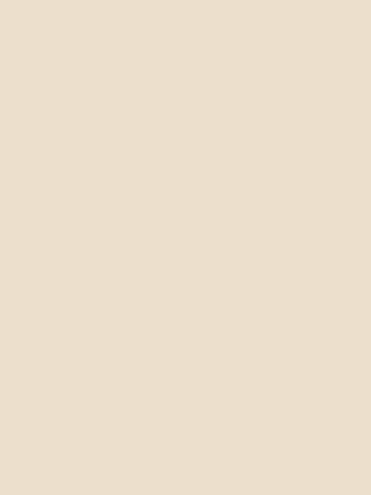 Plain Beige Sand by maniacfitness Unisex