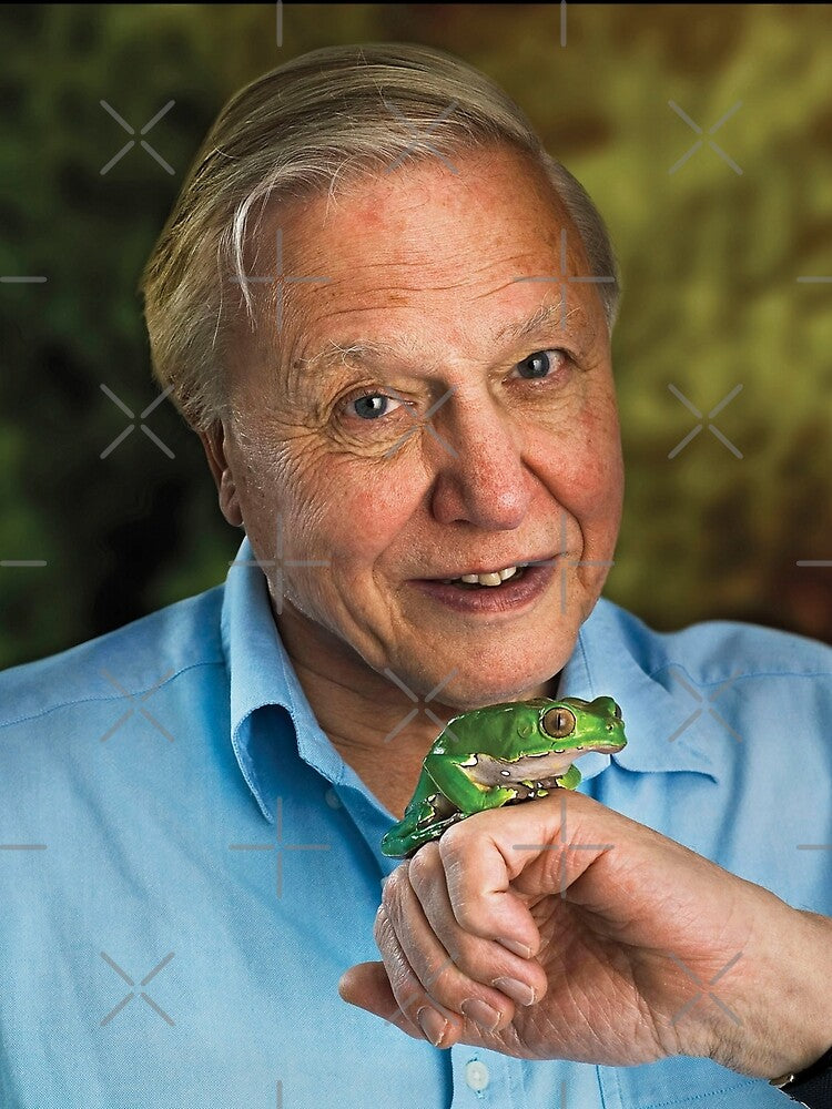 David Attenborough All Over Print T-Shirt by ClassicClothing