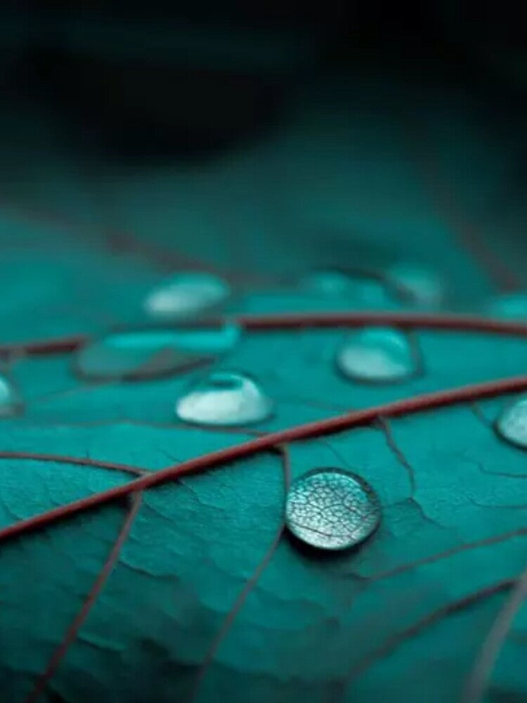 Water drops 3D Print by Sunny7869