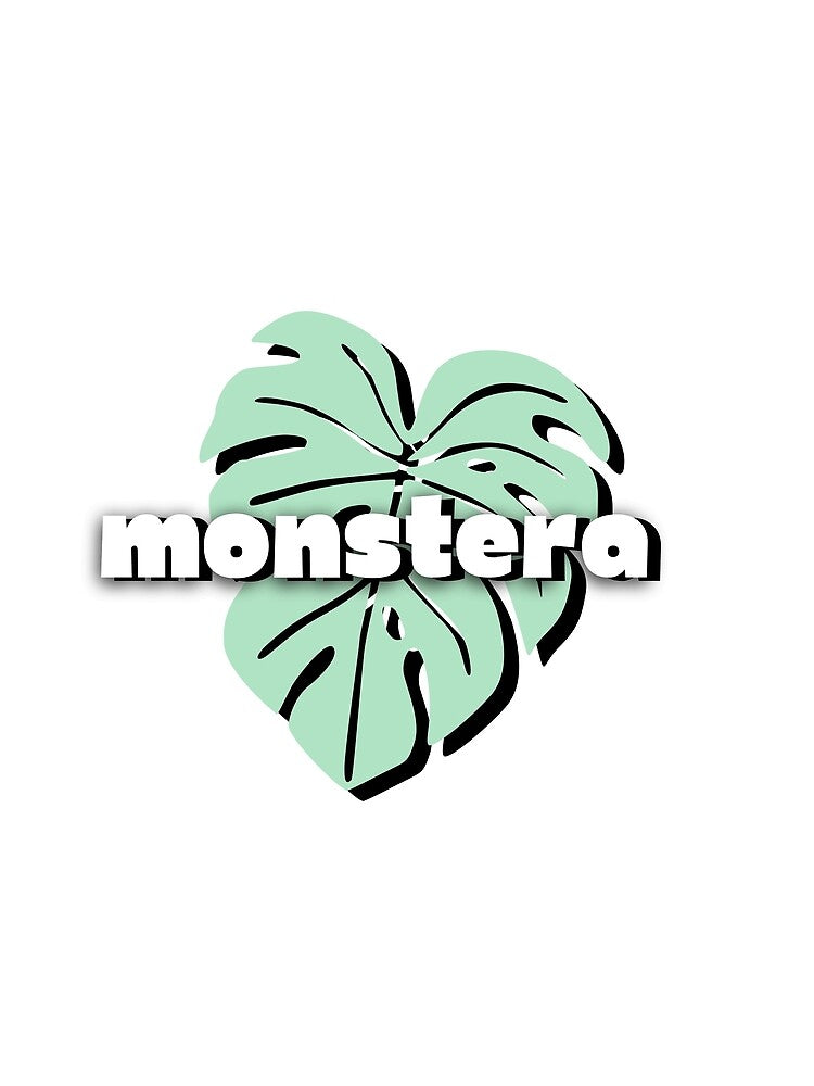 3D Monstera by LivsPlantHouse