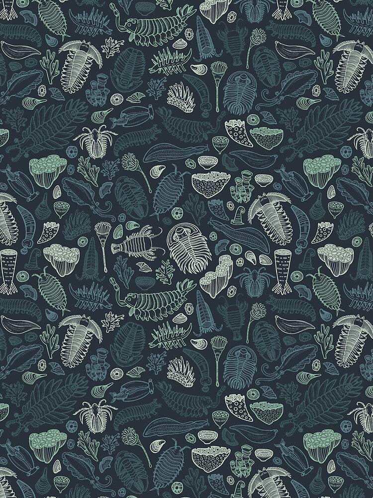 Studio 252MYA Collaboration: Cambrian Fauna (2020 Reboot) by softbiology