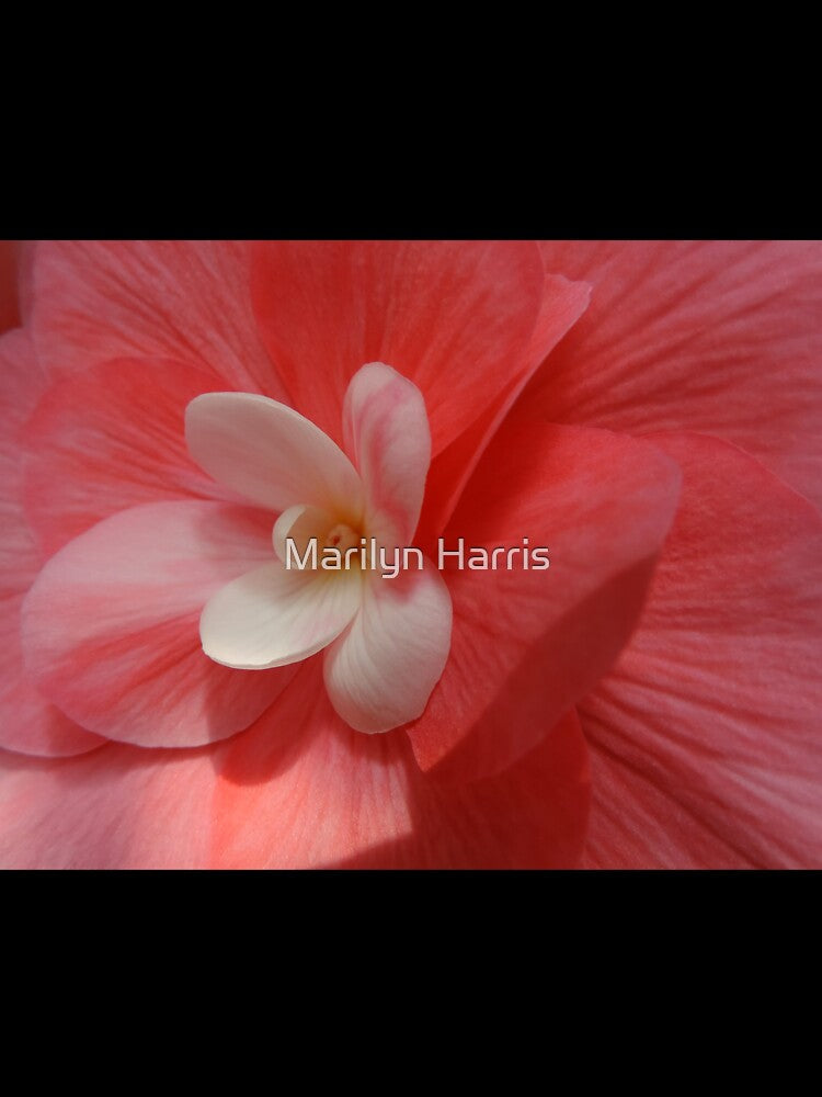 Begonia in Soft Shades of Red by Marilyn Harris Unisex