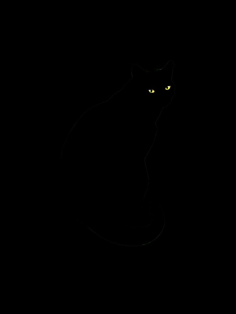 Basic Black Cat by Delfyn Studios Unisex