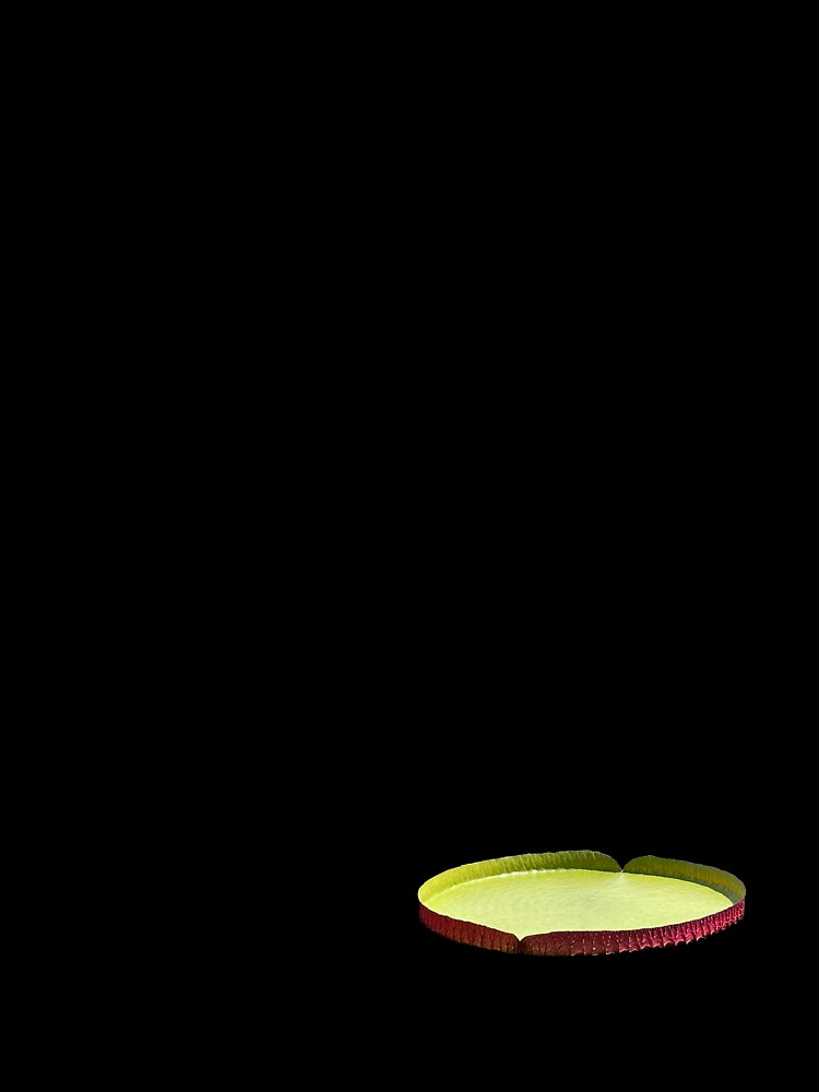 lily pad by hpearl15 Unisex