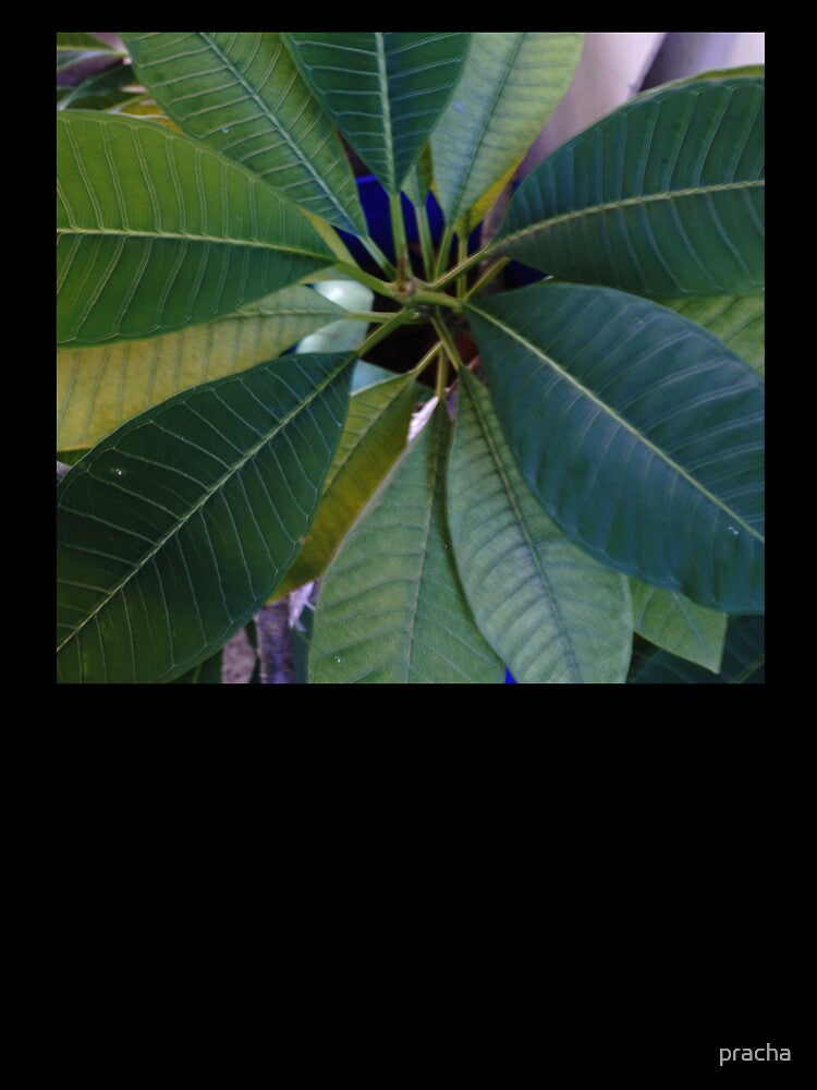 leaves 3 by pracha Unisex