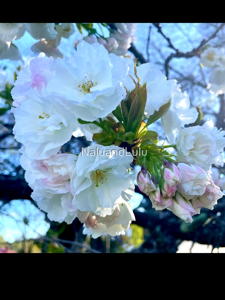 Soft Blossom - Emerald by NaluandLulu Unisex