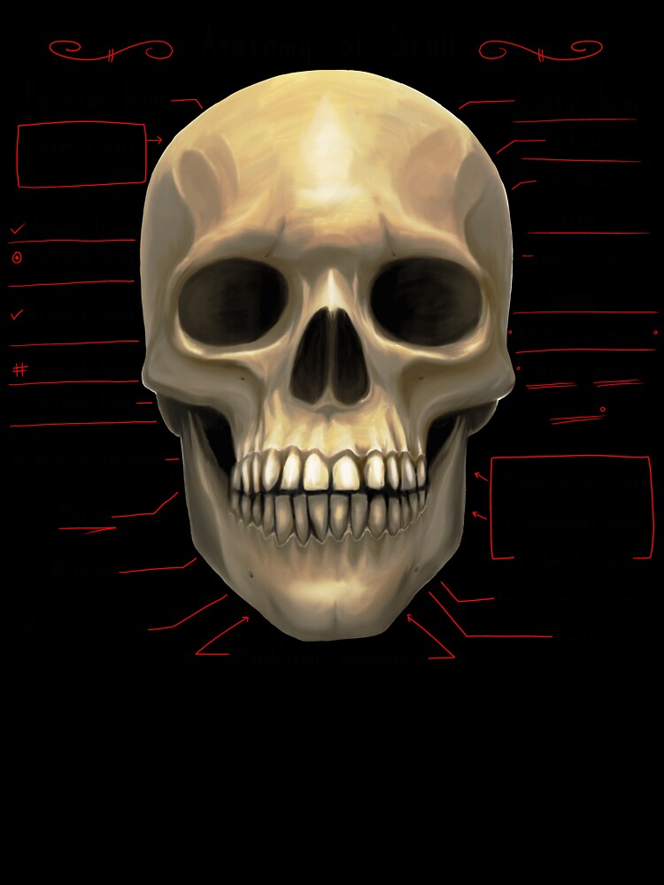 anatomy lesson (skull) by hayrpictures Unisex