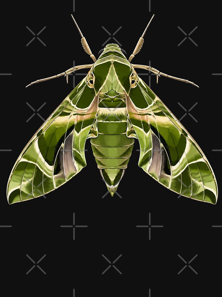 Oleander Hawk Moth Daphnis nerii Cartoon Style by Harpagann
