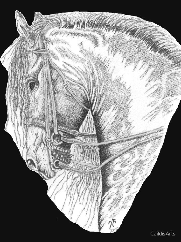 Horse by CaildisArts