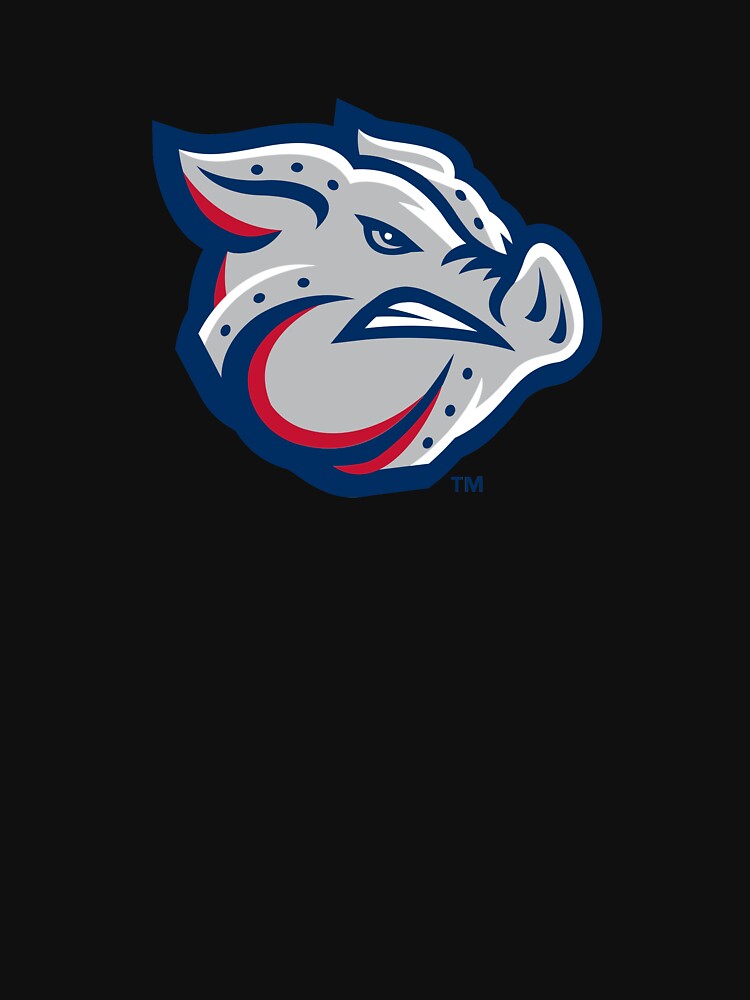 Lehigh Valley IronPigs by alzelstore