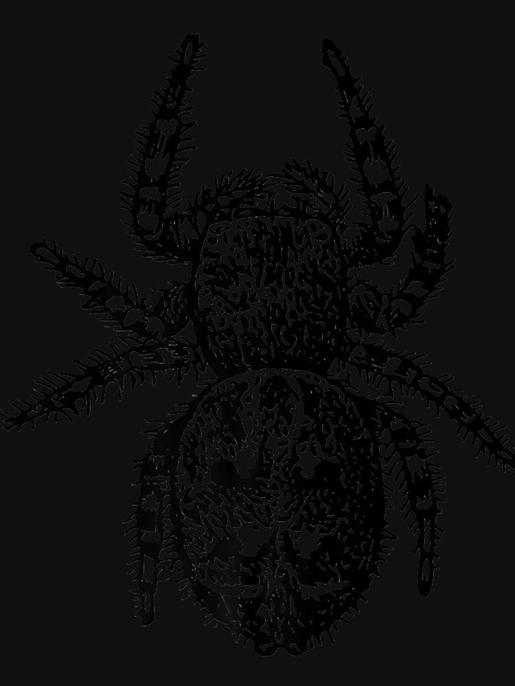 Jumping Spider Premium by RobertRogers6 Unisex