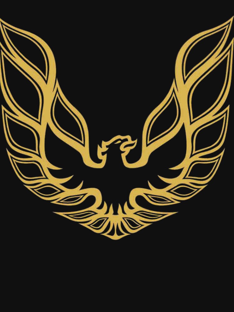 Trans AM by LaurettaKovacek