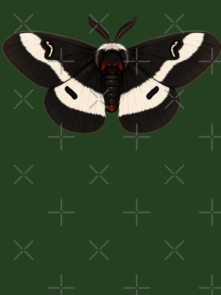 Buck Moth Hemileuca Maia Moth Cartoon Style by Harpagann