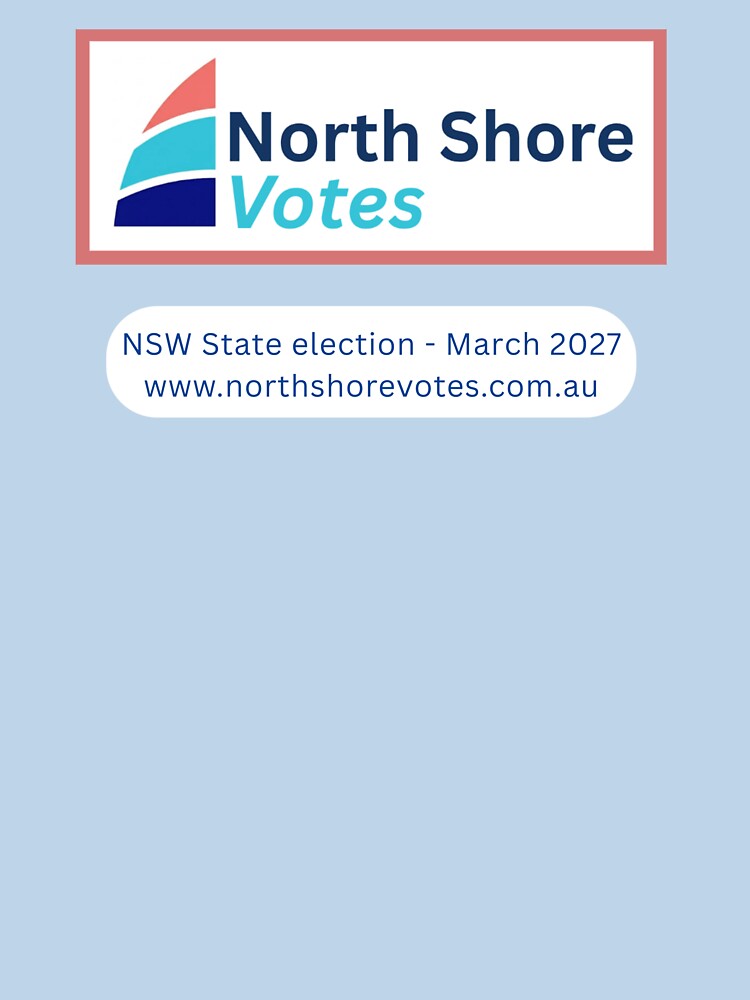 North Shore Votes t-shirt by NorthShoreVotes_