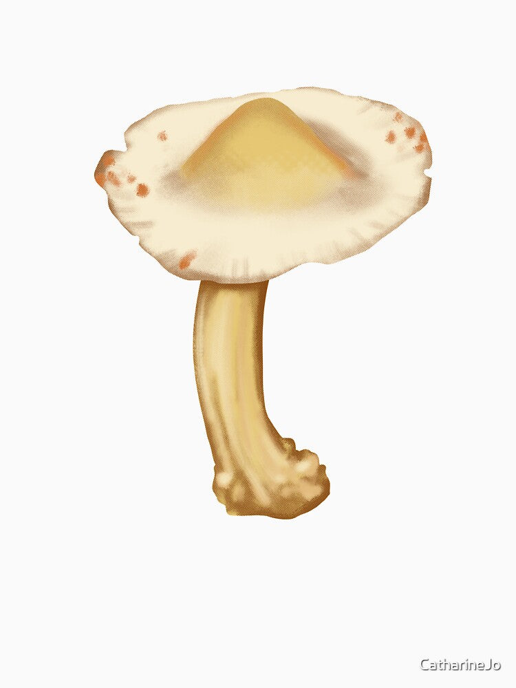Showy Volvaria Mushroom by Katie Morris Art