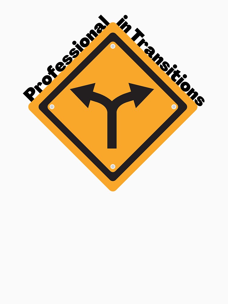 Professional in Transitions by acastel-designs