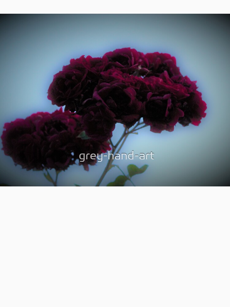 Dark red roses by grey-hand-art Unisex