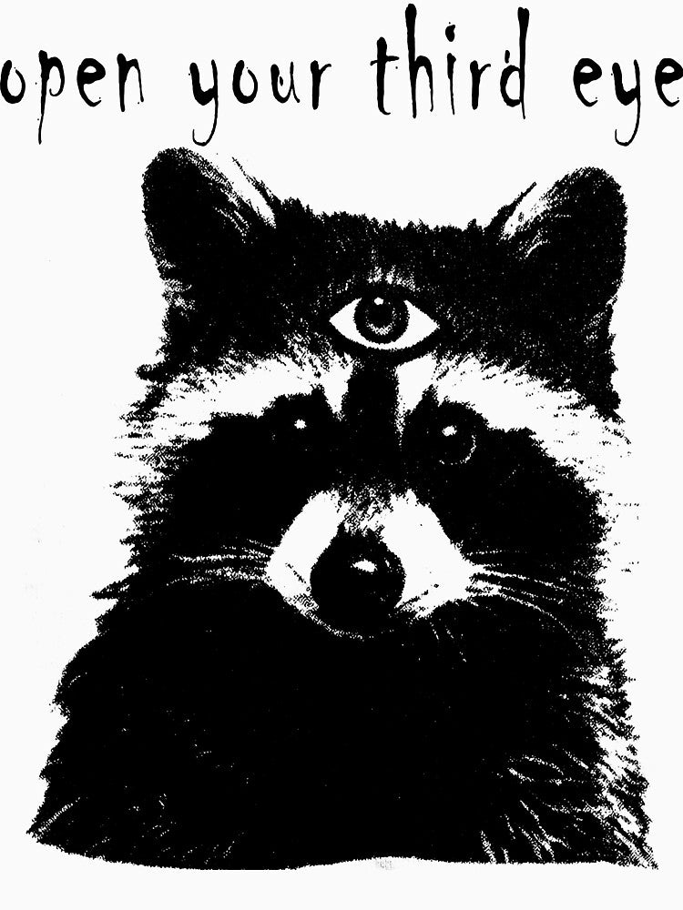 Open Your Third Eye Mystical Raccoon by WhoopsieWorld