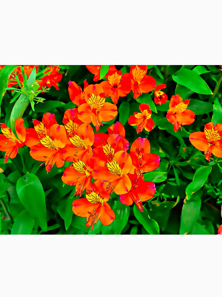 Vibrant Orange flowers summer pattern by santoshputhran Unisex