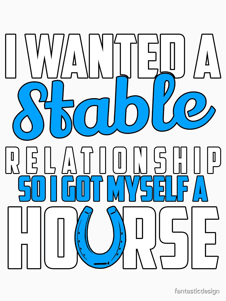 Funny Sarcastic Saying I Wanted A Stable Relationship by fantasticdesign Unisex