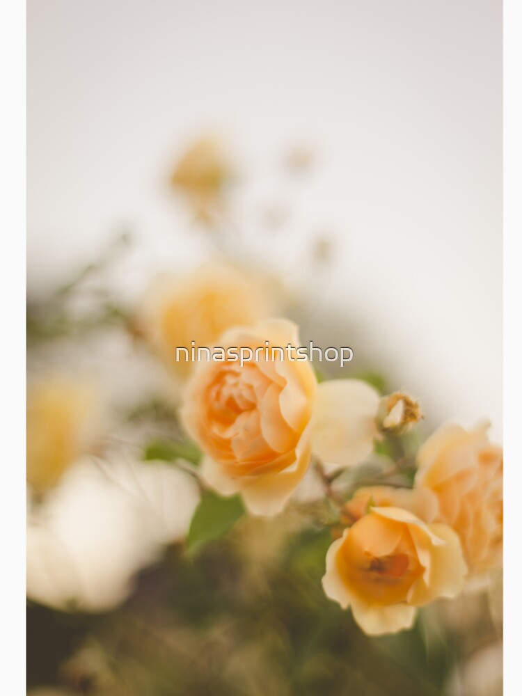 Soft yellow roses by ninasprintshop Unisex
