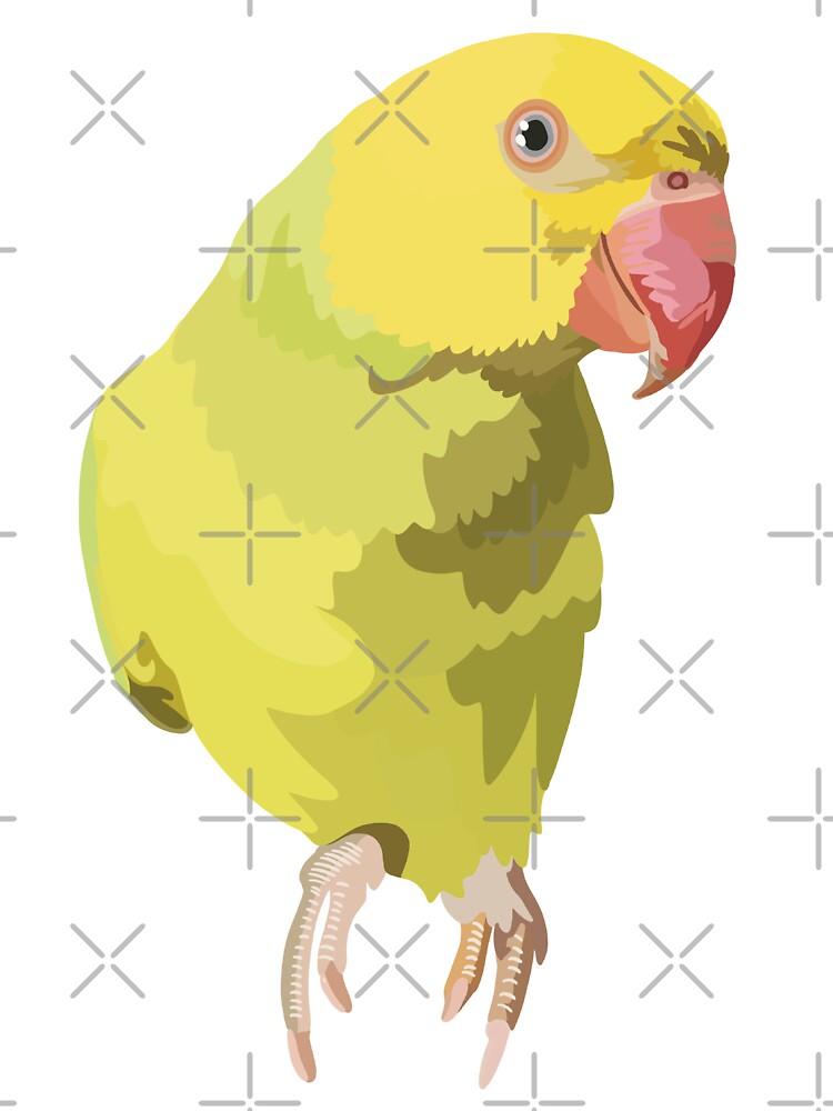 Custom Parrot by PrettylittlepastelUk Unisex