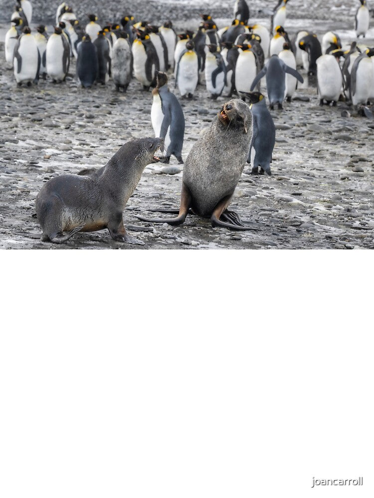 Two Fur Seals South Georgia Island by PhotoArt by Joan Carroll Unisex